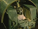 Uma gravação da notícia do voo de Laika e o som de seu coração, gravado em órbita.