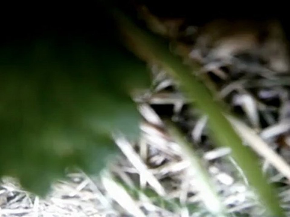 Circuit La Ferté Gaucher 28/07/2012