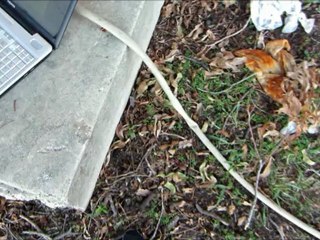 Precipitation  in the Water Cycle