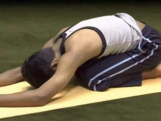 General Level 4 Yoga: The Hand Stand Posture