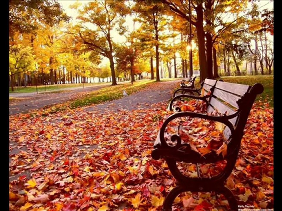 Ah BeNiM SeVDaLı- BaŞıM (Recep_Aktuğ)