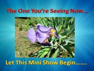 What Is The Best Video Making Software Part 2