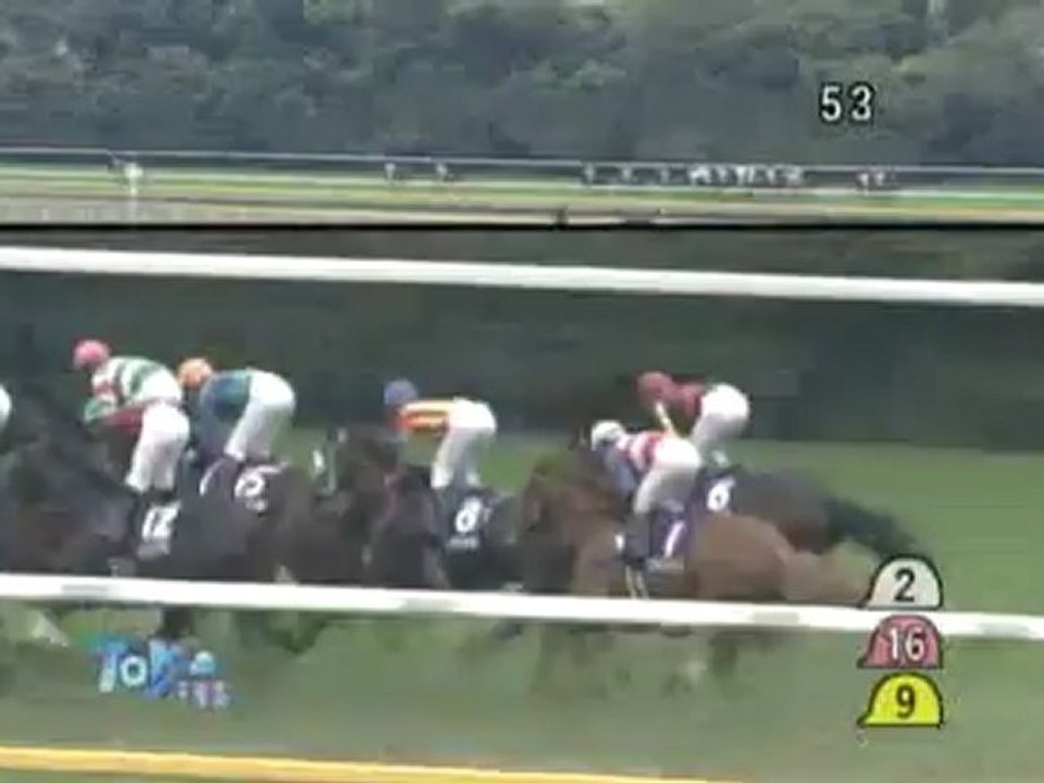 強運馬券 競馬 2012年 第１４６回天皇賞・秋 エイシンフラッシュがＶ