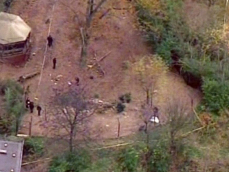 Boy killed after falling into wild dog pen at US zoo