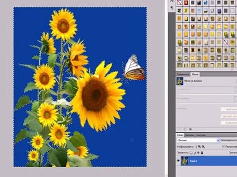 урок УДАЛЕНИЕ ЗАДНЕГО ФОНА С ПОМОЩЬЮ ЦВЕТОВОГО ДИАПАЗОНА