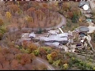 Child killed by dogs after falling into zoo pen