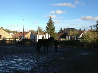 rocco jeu liberte carriere2