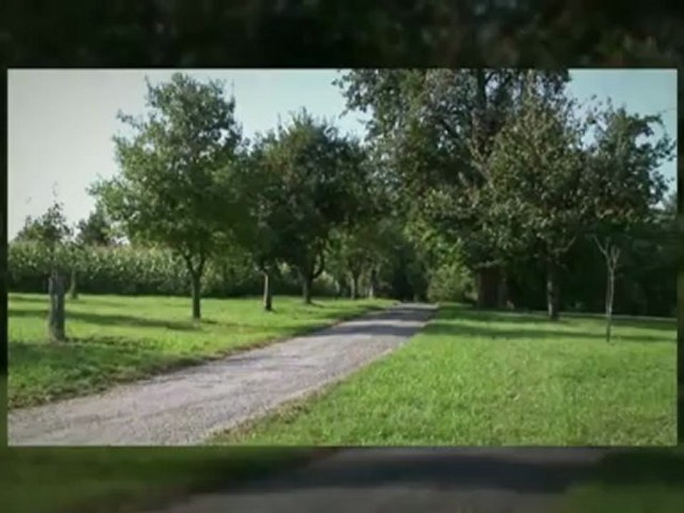 Washington Park Homes For Sale 303-619-7793