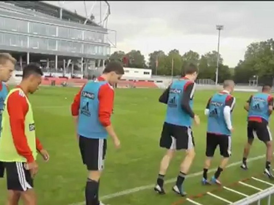 Leverkusen verpflichtet boenisch