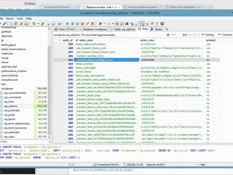 Tutoriel vidéo WordPress : Créer un panneau d'options personnalisé