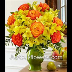 Send Flowers To Hyderabad @ Justbuyflowers.com( Free Delivery)