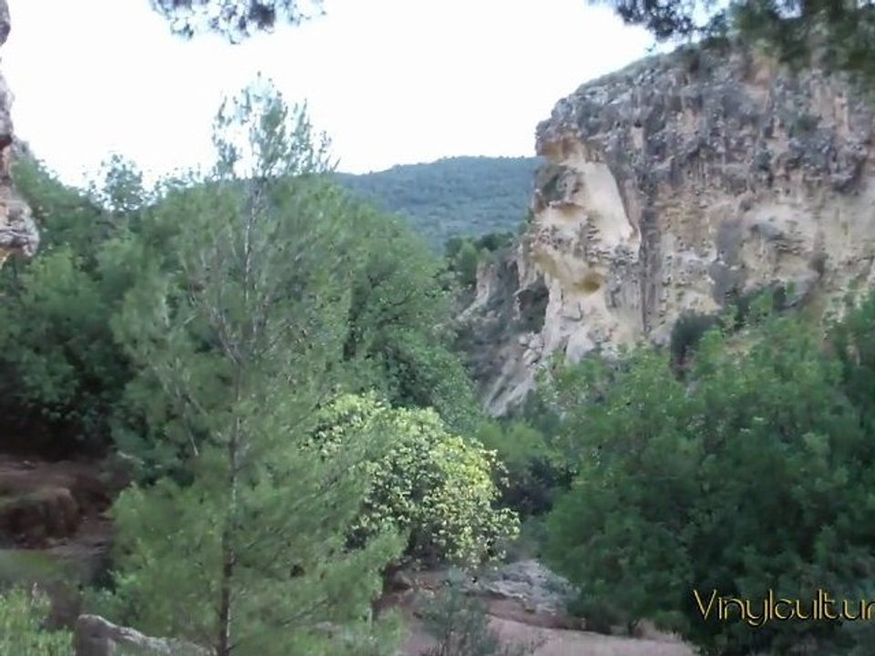 Sendero de la Arboleja de Aledo.