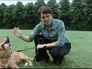 Anglia News ParvoVirus Dogs & Cambridge Church Bells Complaints & Essex Girls Cricket Team