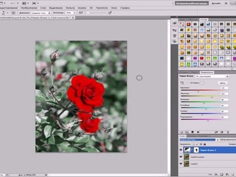 урок фотошопа 'КРАСНАЯ РОЗА'.