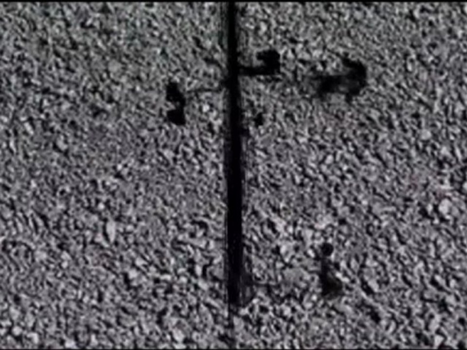 The Best Asphalt Driveway Paving Contractors in Union County, New Jersey