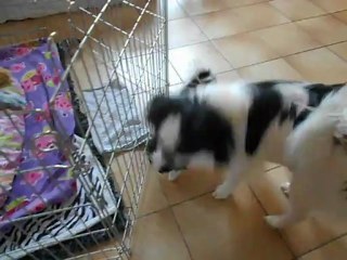 bagare aujourd'hui 001