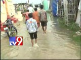 Paddy crops drown in water