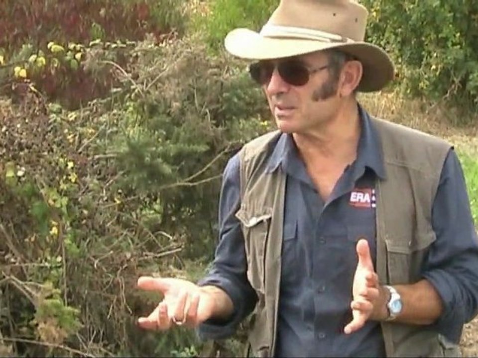 Mégalithes en Vendée - Gérard Benéteau -1-