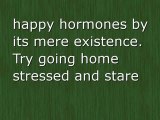 My Happy Hormones - My Bean Bag Chairs In Ireland