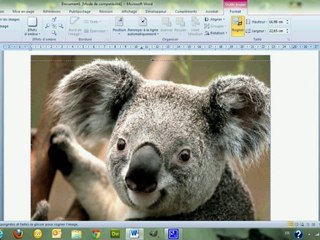 Insérer une image - Word