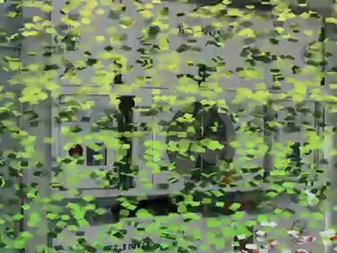 Frezzer Container Rentals Nationwide (800) 443-5212