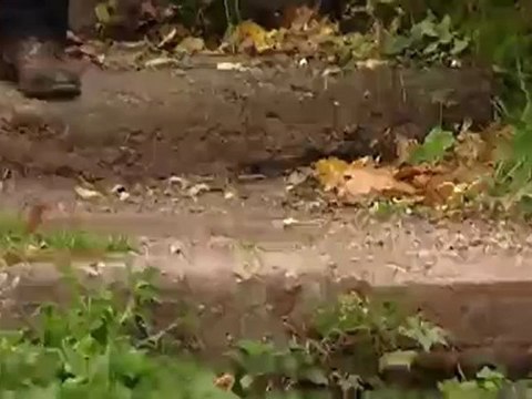 Eisenach: tres sugerencias | Destino Alemania