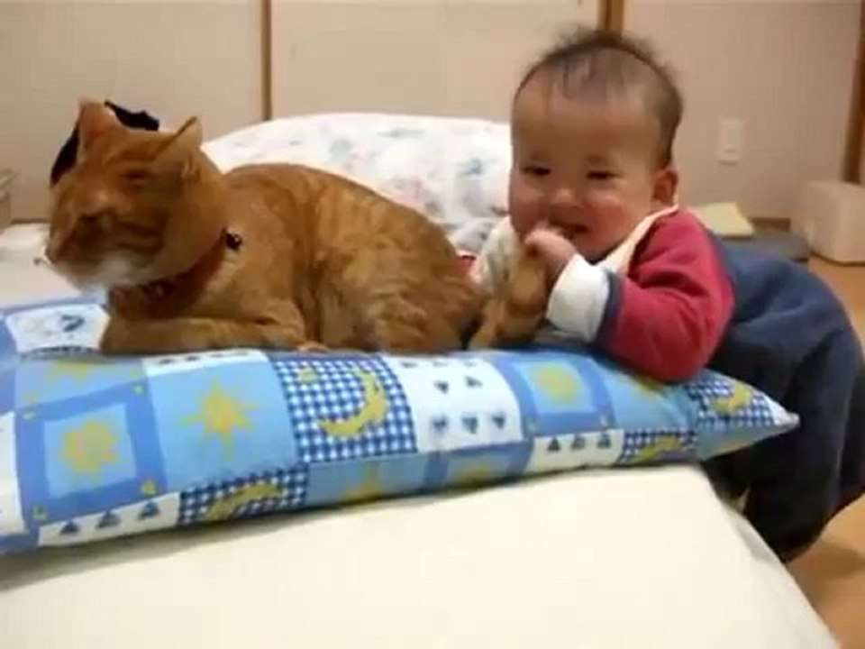 Kedinin Kuyruğunu Isıran Bebeğin Eğlenceli Sahneleri