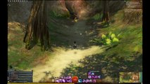 Test vidéo - tvdjeux - Guild Wars 2 - Vidéo 2