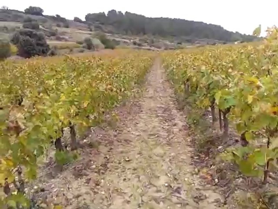 video-2012-11-04-10-11-11