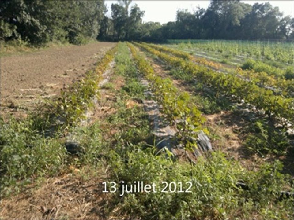 l'eau rouge 5 mois en 30 secondes