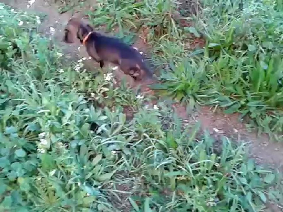 video-2012-11-02-08-19-24