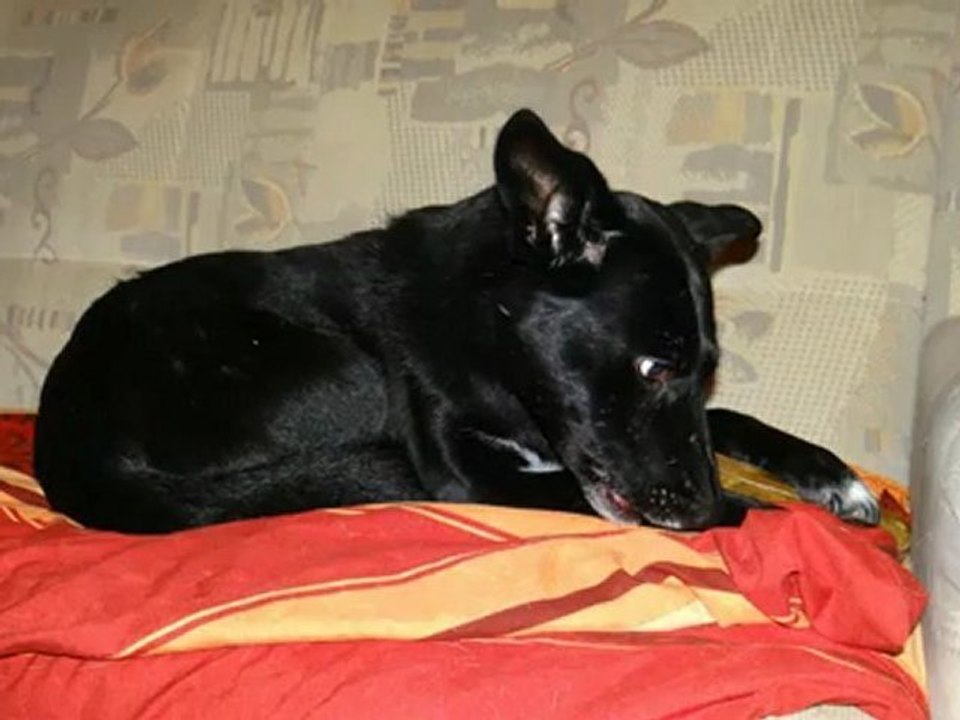 die kleinen sagen Danke