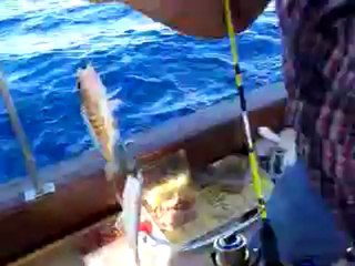 03 KASIM 2012 VİDEO (3)