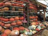 Thorens Glières: Fête de la Pomme et de la Courge 2012.