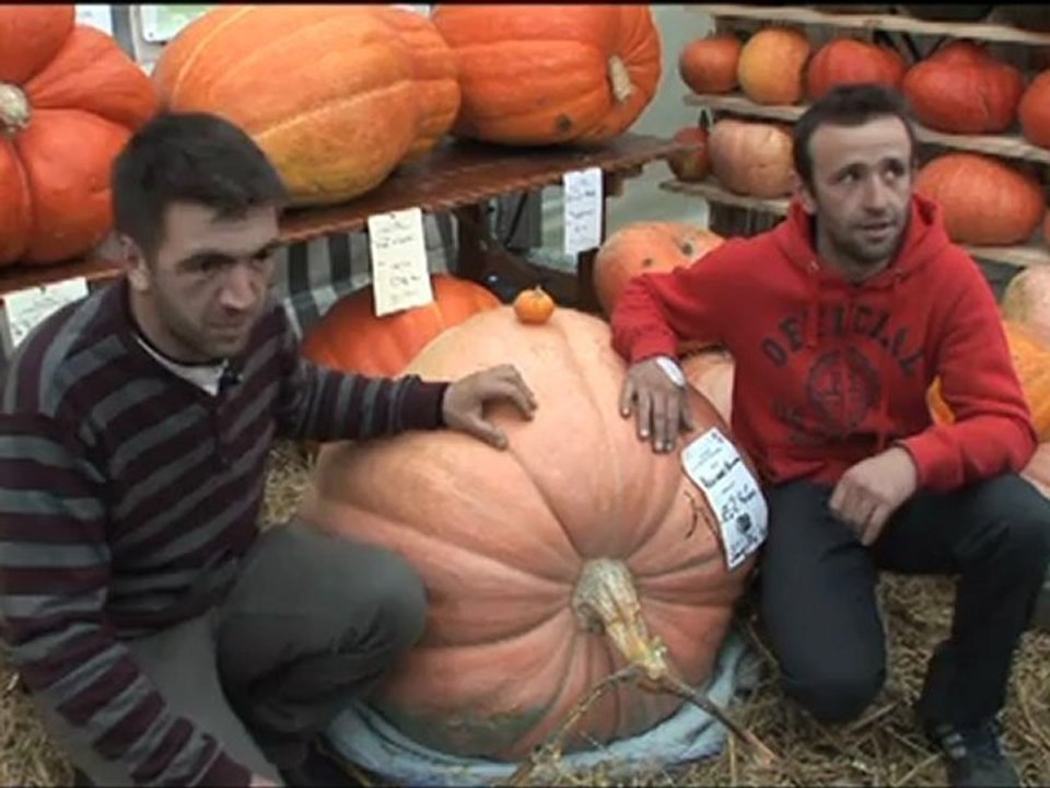 Thorens Glières: Fête de la Pomme et de la Courge 2012.