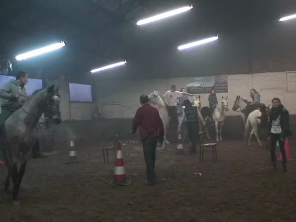 Le 4-11-2012 au manège El Cortijo