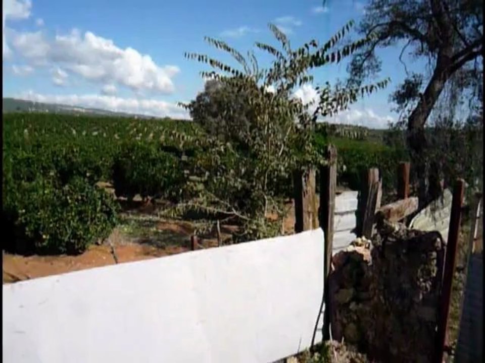 La Vega
