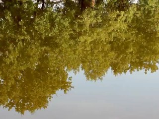Reflection 2 - Free HD stock footage