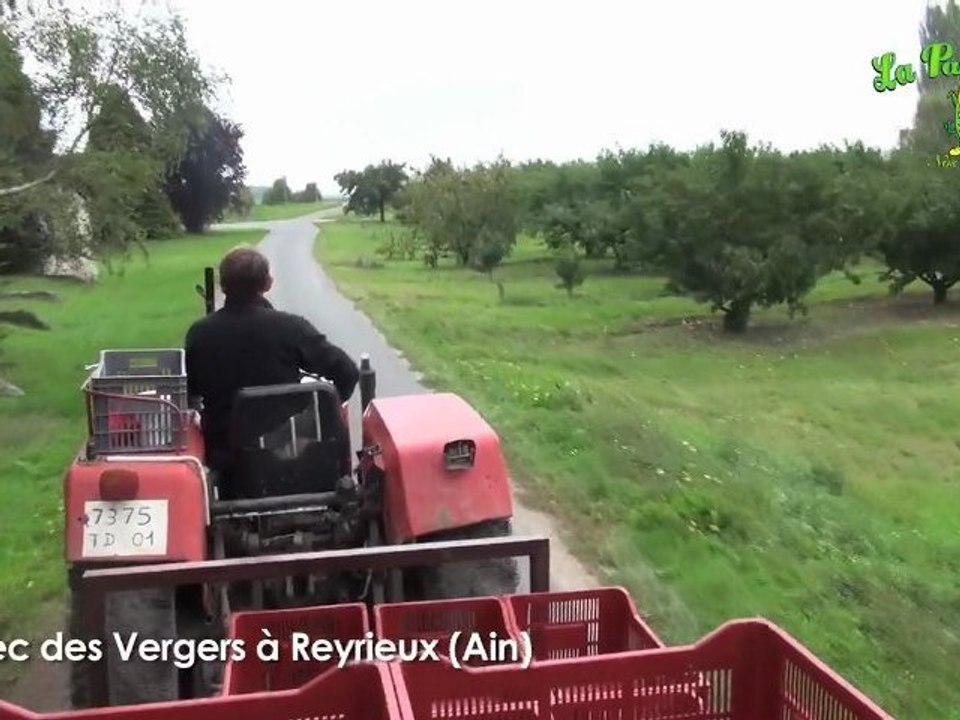 Gaec Du Verger - La Panouille