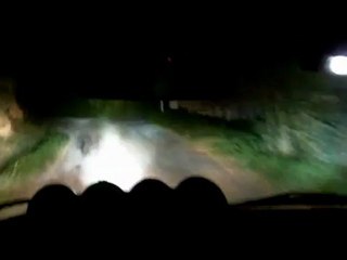 noix de grenoble 2012 106 xsi N1