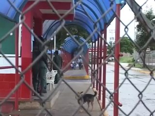 Secuestro de bebé en Lara fue planeado desde la cárcel de Uribana