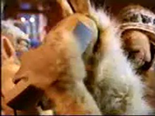 Telecom - La Llama Que Llama - Bomberos