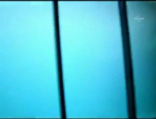 Kutup ayısı havuzun camını kırdı