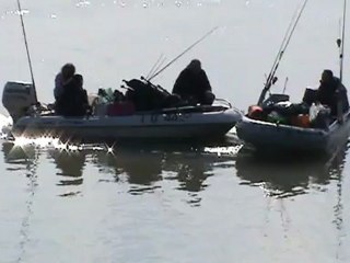 Silure Club Rhodanien : Italie 2012 : Les joutes sont de retour ?