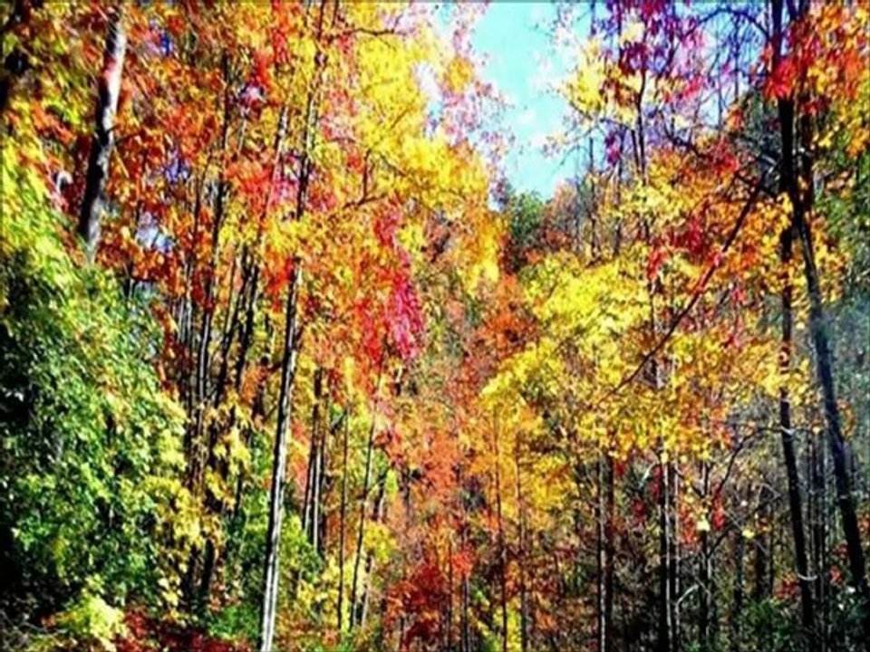 LA SAISON D'AUTOMNE