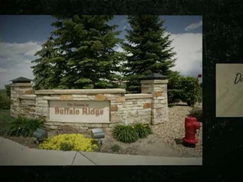 Castle Pines Village Homes For Sale 303-619-7793