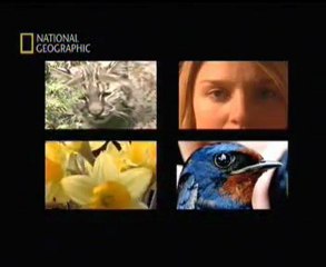 Darwin Yanılıyor mu? (Evrime Dair Kanıtlar)