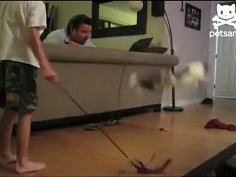 Kediden harika uçan tekme!