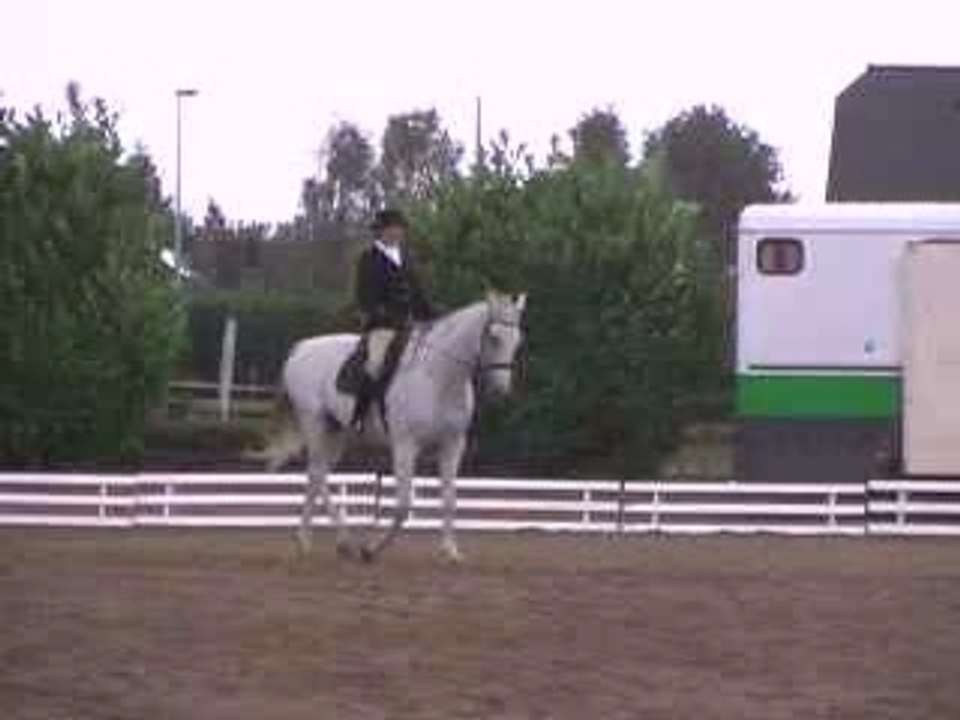 pas allongé perloch 2005 plerguer D5