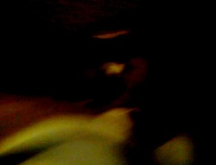 Vidéo des chiots de Bodhi-Girl & de Bully-Boy 2